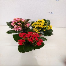 b61db732802d15c187412ab9c9d4cb07319aa08d487769c275ca4c670572.jpg