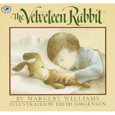 The Velveteen Rabbit, Dragonfly