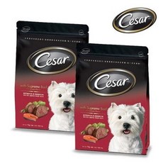  시저 건사료 연어가 곁을여진 소고기1kg 전연령 사료, 6개 