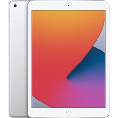 2020 애플 아이패드 10.2인치 와이파이 128GB 실버 갱신