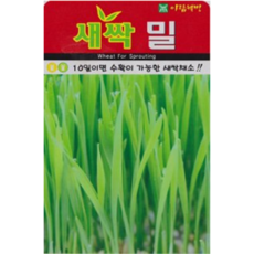 f25ec853364b98096a65c1a97a8a2722718090bae991c93bc45931a2b3a4.png