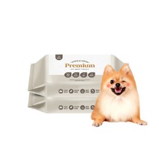 고양이항문티슈