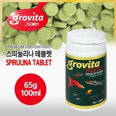 100×300유리타일