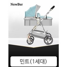 Newber 디럭스 양대면 절충형 유모차 카시트 세트 디럭스유모차, 민트(1세대)