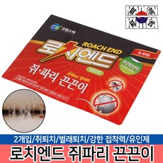 쥐쫒는퇴치기