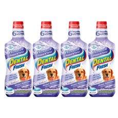 시너지랩 덴탈후레쉬 애견 구강청결제, 503ml, 4개, 503ml