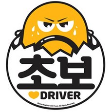 초보 초보운전연수 운전 장롱면허운전연수 시험 방문운전연수 운전연수 면허 초보운전스티커 합격 선물