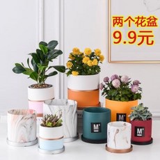 ab717e361911b58bc224890cd170d92cfaaad6047b5778f7fe76feea35f1.jpeg