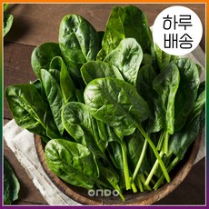 시금치1단