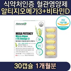 직업군인선물