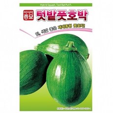 텃밭풋호박 600립 호박씨앗종자 유기농야채 아시아종묘 텃밭 주말농장 베란타야채키우기
