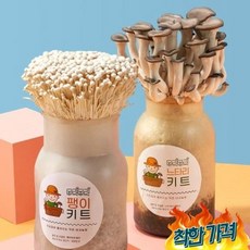무럭무럭 느타리+팽이 버섯 키우기 -