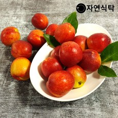 [자연식탁]2021년 경북 햇 천도복숭아 2kg 소과(35과 내외), 단품