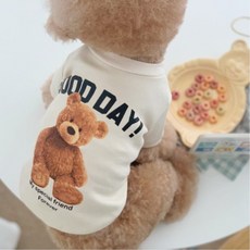 95db5ed4982a2c95e5cd9bfcdad9f8c31f25fb9b406c5ffc63a60feb8569.jpeg