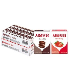 서울우유 초코우유200ml x 24개 + 딸기우유200ml x 24개, 200ml