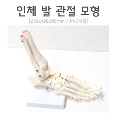 4a25193e87c7bd9310c167b3b457bf261b9cc76a2a24a88b338ba4f3731c.jpg