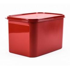 타파웨어 김치통 대용량 직사각 Tupperware 김장 김치용기, 2개, 6.5L