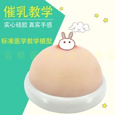 모유 수유 유방 마사지 조리원 교육 모형 마네킹 산부인과 외과, 중간 (직경 12CM)