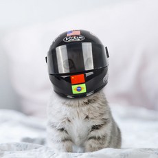 55d0ab9cdaf8fbd01cf87d9aca9d60a5f2e5889bbd8e6b3efb1b730d0722.jpg