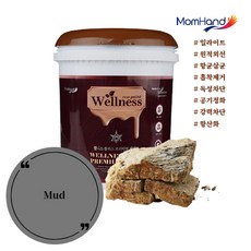 일라이트페인트