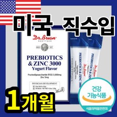 일본정로환