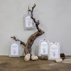 아트박스/라비주얼 양재동꽃시장향 퍼퓸 샤쉐 15g 4종 set
