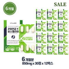 [6개월분] FromBIO 프롬바이오 관절연골엔 보스웰리아 850mgx30정x12박스 6개월분 관절 연골 건강 1일 2정 뼈 건강, 30정, 12개