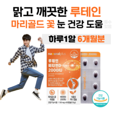 일양전립선건강눈건강