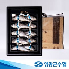 [영광군수협] 법성포 영광 명품 굴비 선물세트 1.3kg(10미), 단일속성, 1개