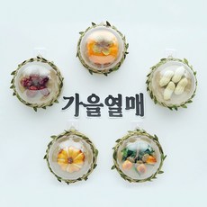 가을열매 관찰 어린이집 유치원 환경구성