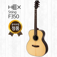 헥스 F350 헥스 기타