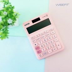 와이즈핏짐벌