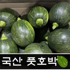 [산지직송] 싱싱한 국내산 풋호박 둥근호박 TSF10114 조선호박 특품 제철농산물 신선한, 1개, 2kg