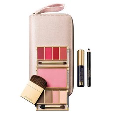 에스티로더립브러쉬