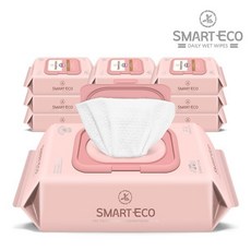 스마트에코안단테