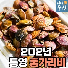 참가리비국산