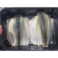 국내산 전어 세꼬시 구이용, 1개, 필렛250g