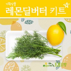 [프레시팜] 기획특가 레몬딜버터 키트