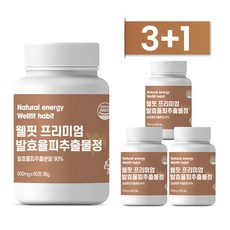웰핏 발효율피 추출물 프리미엄정 600mg, 60정, 3박스, 36g