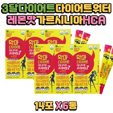 샤넬슬림방도