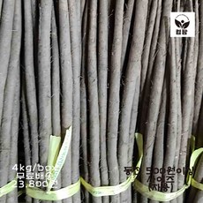 햇우엉(차용)/특/, 2kg/box