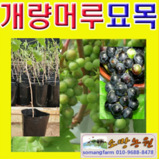 608b77f455b83ec048abfa757f32dd37a21696ed6729502a5bd3755dc9f1.png