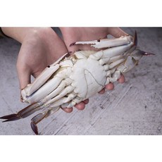 넉넉수산