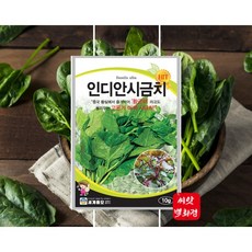 맛있는 시금치씨앗 인디안시금치종자 황궁채 황실에서 즐겨먹던 시금치