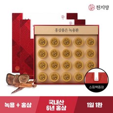 천지양 홍삼품은 녹용환 20환 x 2박스 +쇼핑백, 2개