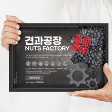 [ 견과공장 ] 프리미엄 마리아니 건블루베리 900g(450gx2봉) KG 건블루베리 1kg(1봉), 1개, KG 건블루베리 1kg