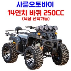 [엑티쿼] 사륜 오토바이 사발이 4륜 바이크 네발 산악 ATV 운반차 오프로드, 화이트, 07 [14인치 250CC]