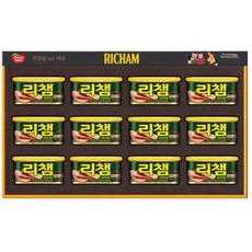 동원 명절 직원 친인척 단체 설날선물세트 리챔 G12호 답례품 쇼핑백, 1개