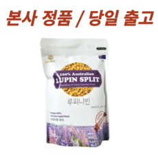 [본사정품] 베네팜 루피니빈 식물성 단백질 당뇨 루피나빈, 300g, 2개