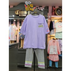 신디넷pebblev3카톡